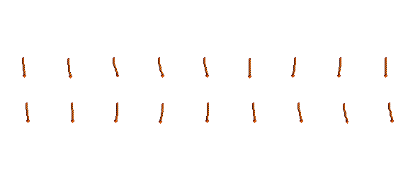 Left XLong Braid