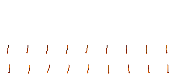 Right XLong Braid