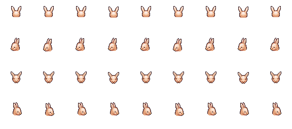 Rabbit
