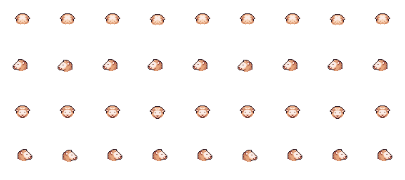 Sheep